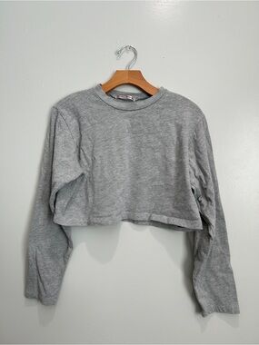 Bailey Rose Cropped Long-Sleeve Crewneck Top in Light Gray